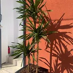 Leon Private Holiday home *