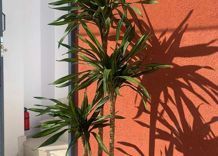 Leon Private Casa de Férias *